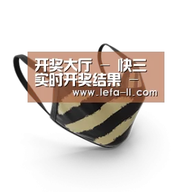 成人布口罩