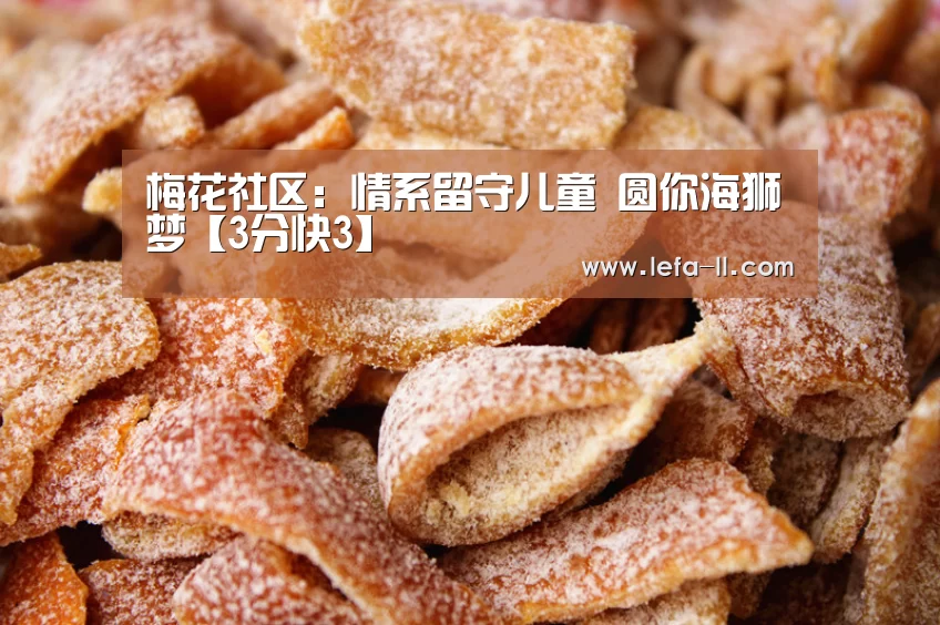 梅花社区:情系留守儿童 圆你海狮梦【3分快3】(图2) 3分快3官网