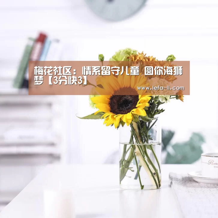 梅花社区:情系留守儿童 圆你海狮梦【3分快3】(图4) 3分快3走势分析