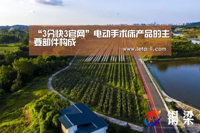 3分快3开奖查询