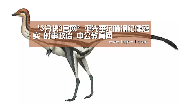 ‘3分快3官网’率先垂范确保纪律落实_时事政治_中公教育网(图1) 3分快3开奖查询