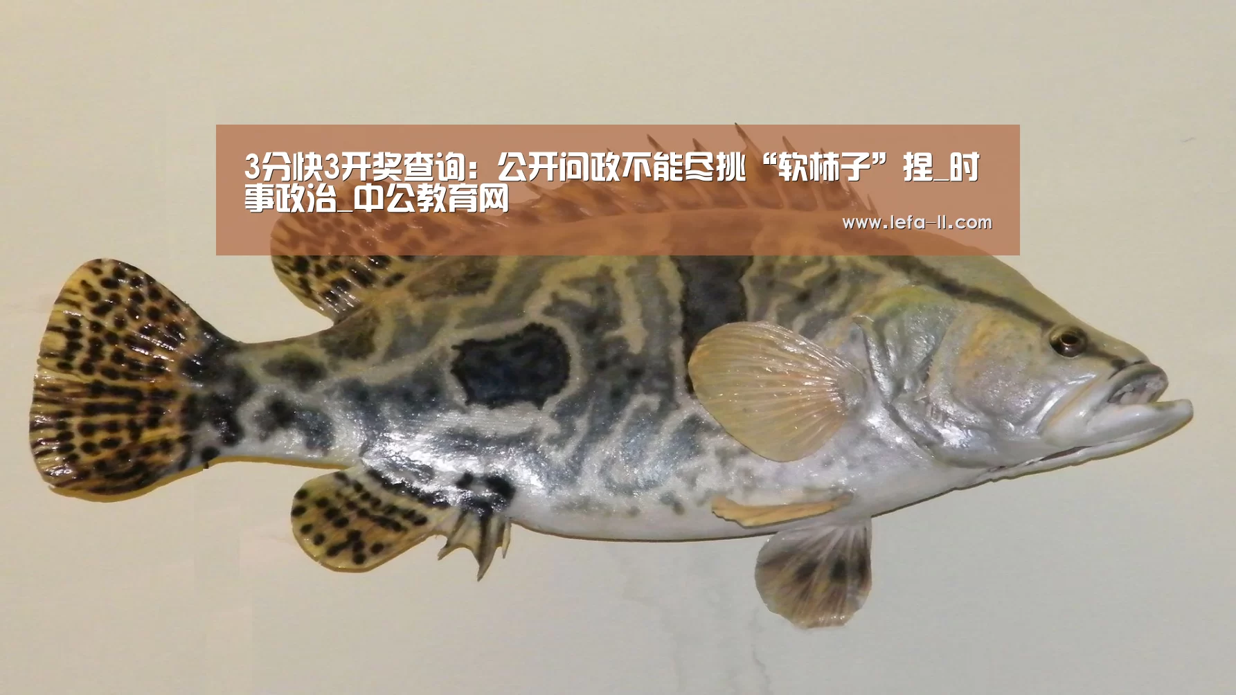 3分快3开奖查询:公开问政不能尽挑“软柿子”捏_时事政治_中公教育网(图4) 3分快3官网
