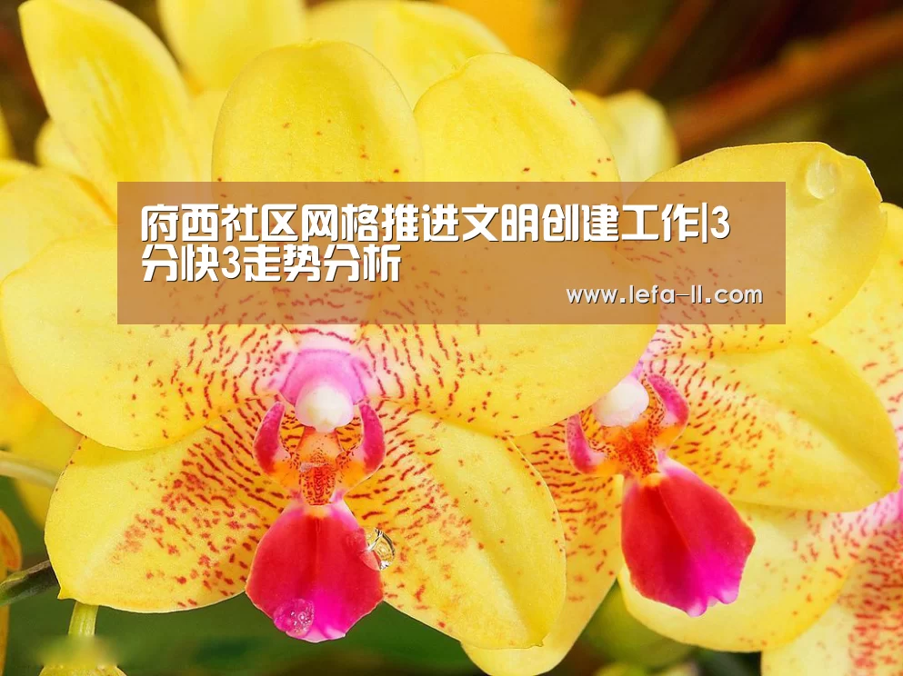 府西社区网格推进文明创建工作|3分快3走势分析(图1) 3分快3开奖查询