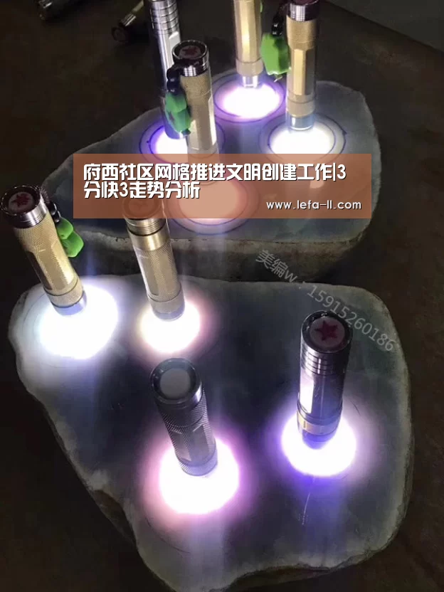 府西社区网格推进文明创建工作|3分快3走势分析(图2) 3分快3走势分析