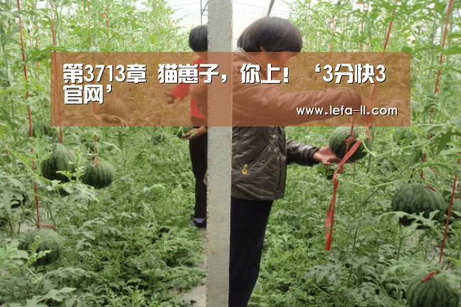 第3713章 猫崽子,你上!‘3分快3官网’(图1) 3分快3
