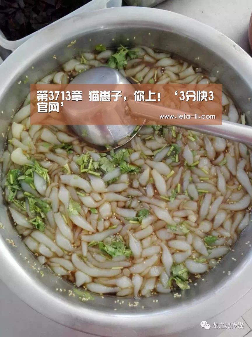 第3713章 猫崽子,你上!‘3分快3官网’(图4) 3分快3官网