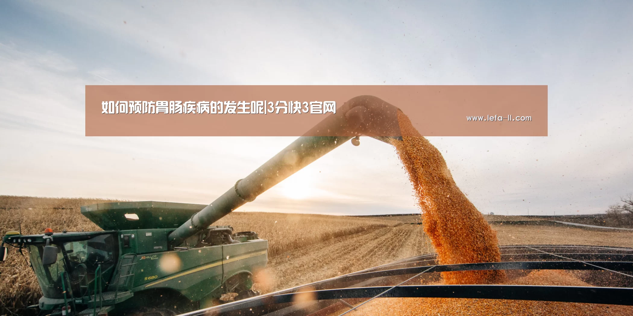 如何预防胃肠疾病的发生呢|3分快3官网(图1) 3分快3官网