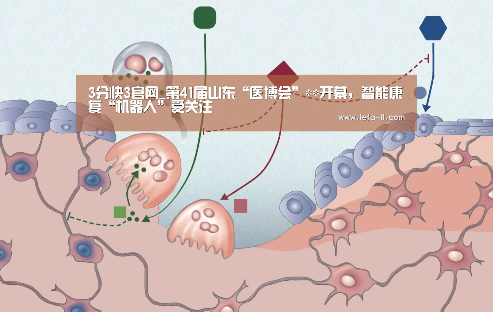 3分快3官网_第41届山东“医博会”**开幕,智能康复“机器人”受关注(图2) 3分快3官网