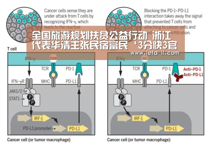 全国旅游规划扶贫公益行动 浙江代表华清主张民宿富民‘3分快3官网’(图1) 3分快3开奖查询