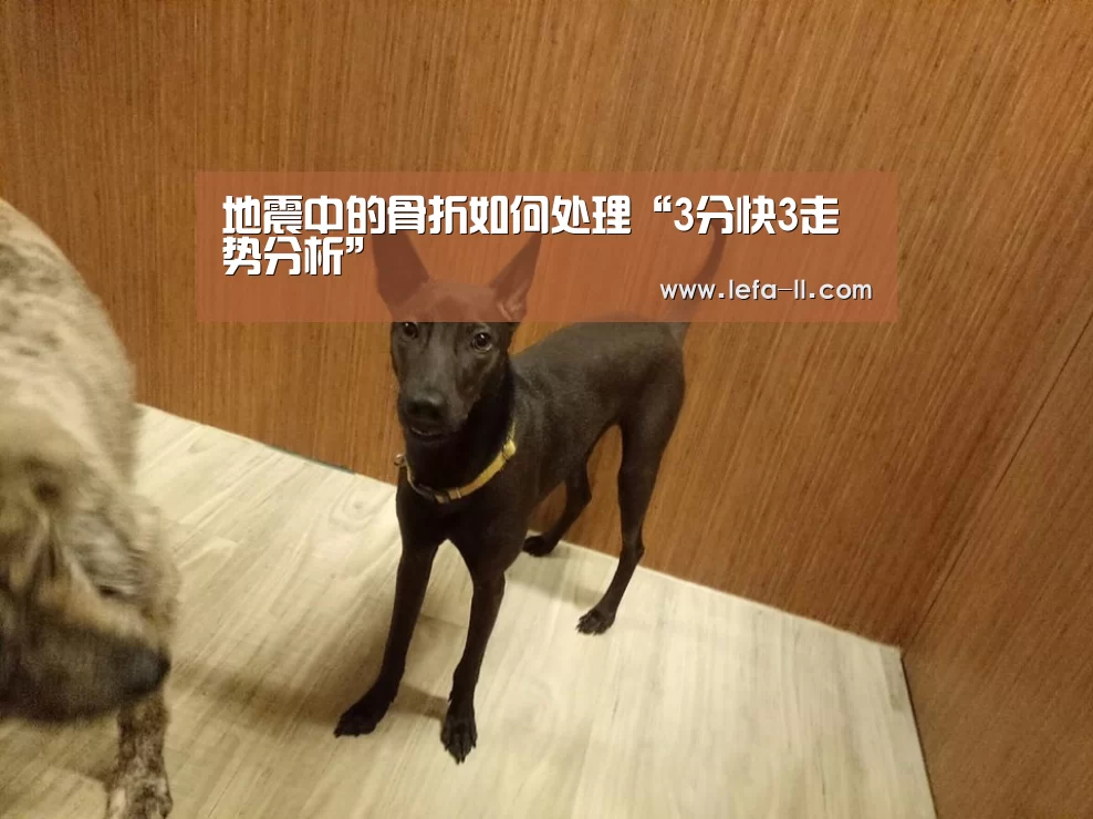 地震中的骨折如何处理“3分快3走势分析”(图2) 3分快3开奖查询