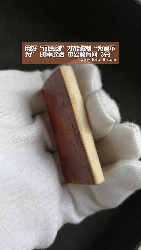 用好“问责剑”才能遏制“为官不为”_时事政治_中公教育网_3分快3(图2) 3分快3