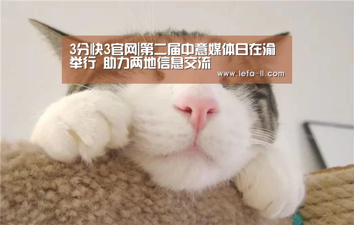3分快3官网|第二届中意媒体日在渝举行 助力两地信息交流(图2) 3分快3开奖查询